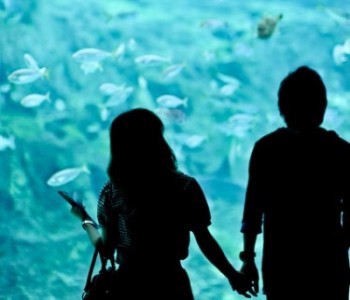 online dating stories